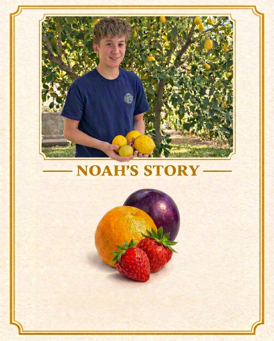 Noah holding lemons from his backyard tree